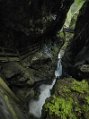 _DSC2343