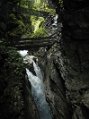 _DSC2347