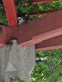 _DSC0340