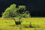 _DSC0290