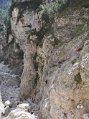 _DSC0100