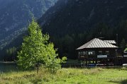 _DSC0254