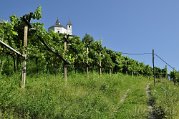 _DSC01463