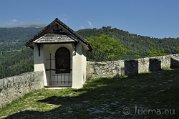 _DSC01495