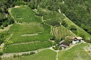 _DSC01496