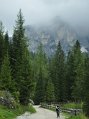 _DSC0859
