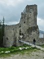 _DSC0869