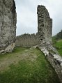 _DSC0884