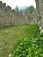 _DSC0887
