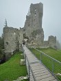 _DSC0893
