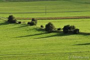 _DSC1240