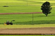_DSC1269