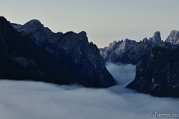 _DSC1274