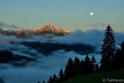 _DSC1295
