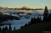 _DSC1317