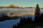 _DSC1348