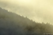 _DSC1387