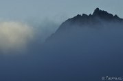 _DSC1393