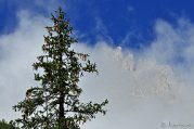 _DSC1478