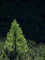 _DSC1489