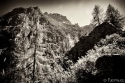 _DSC1514