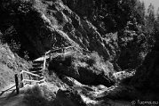_DSC2113