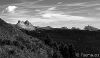 _DSC1818_BN