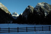 DSC_5456