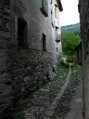 Dscn1598