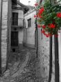 Dscn1606-2