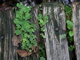 Dscn0056
