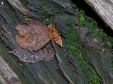 Dscn0060