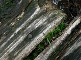 Dscn0061