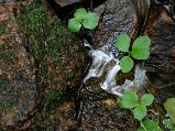 Dscn0062