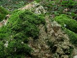 Dscn0067