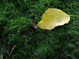 Dscn0072