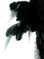Dscn4575