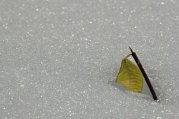 2005 Neve al Sacro Monte