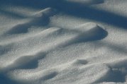 Dsc_1068