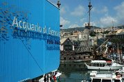 2006 Aquario Genova