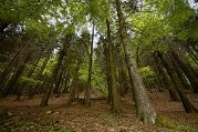 _dsc8990