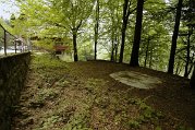 _dsc8993