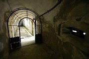 _dsc3987
