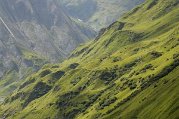 _dsc3461