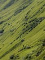_dsc3462