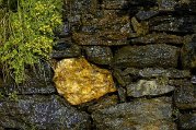 _dsc3584
