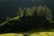 _dsc3604