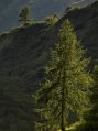_dsc3609