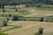 _dsc3748