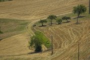 _dsc3755
